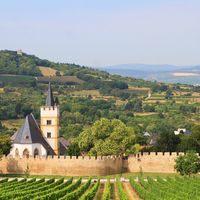 Ingelheim am Rhein