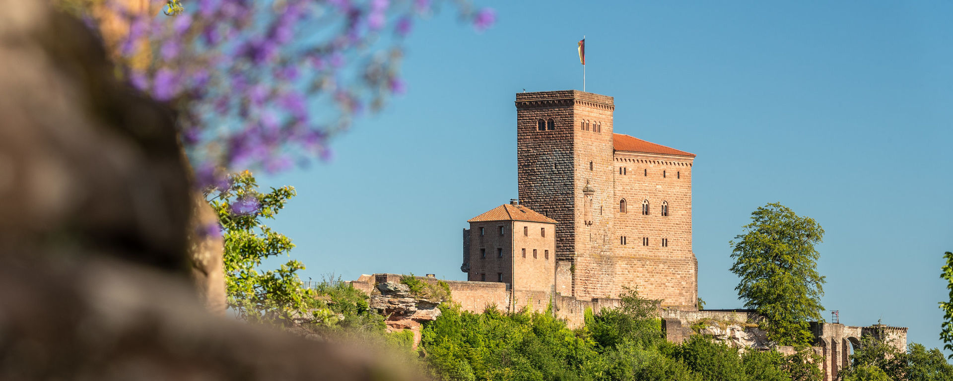 Annweiler am Trifels, Burg Trifels