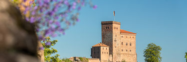 Annweiler am Trifels, Burg Trifels
