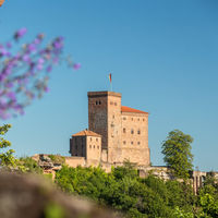 Annweiler am Trifels, Burg Trifels